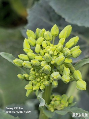 【隨拍分享】農村的簡單生活