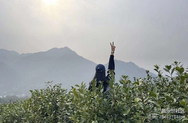 【Note手機(jī)里的初春】春日打卡茶園