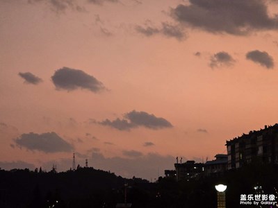 【早春映像】春天來了