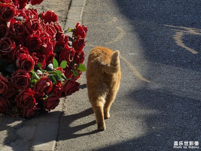 【早春映像】街景一瞥