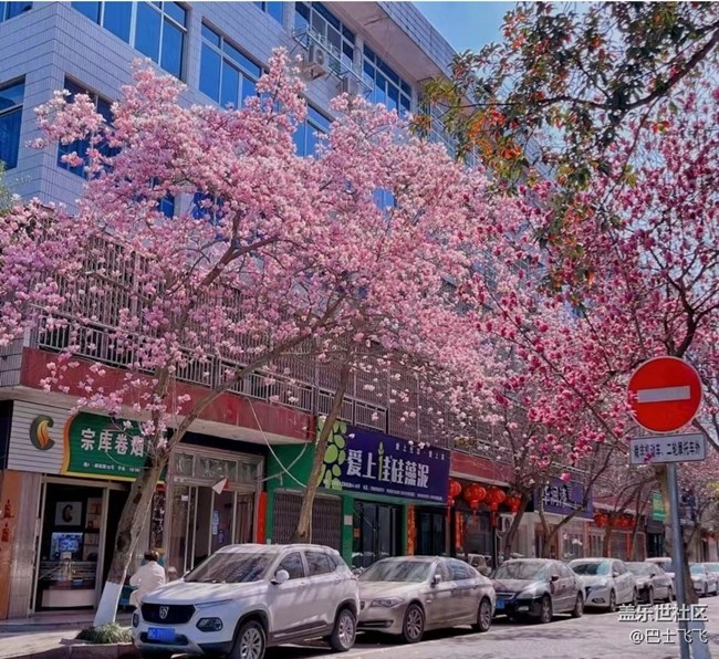 【Note手機(jī)里的初春】花開茂盛