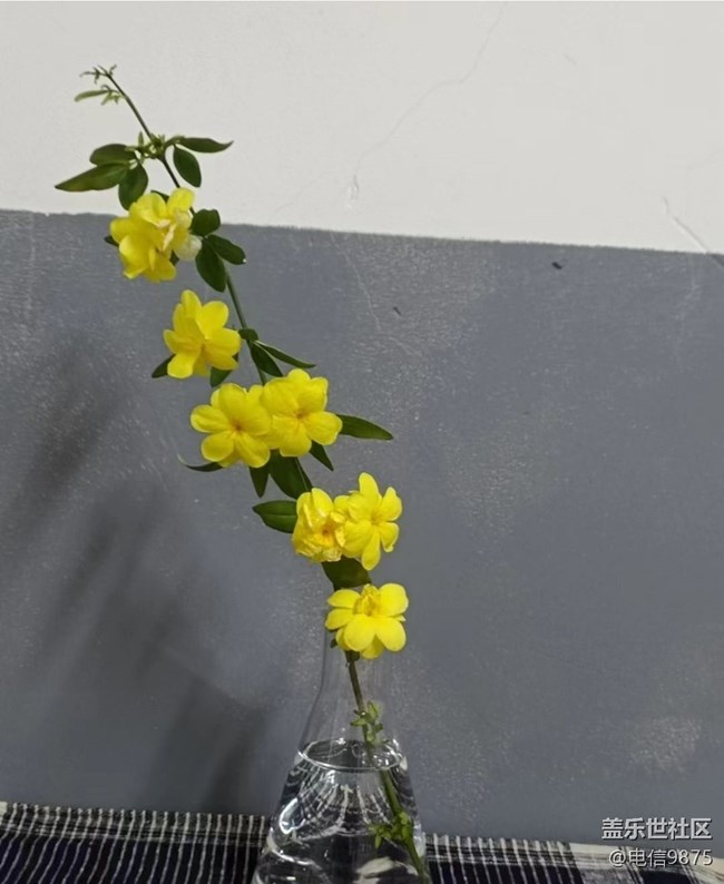 【Note手機里的初春】春