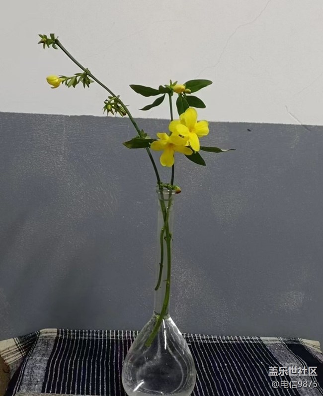 【Note手機里的初春】春