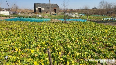 【早春映像】+親近大自然