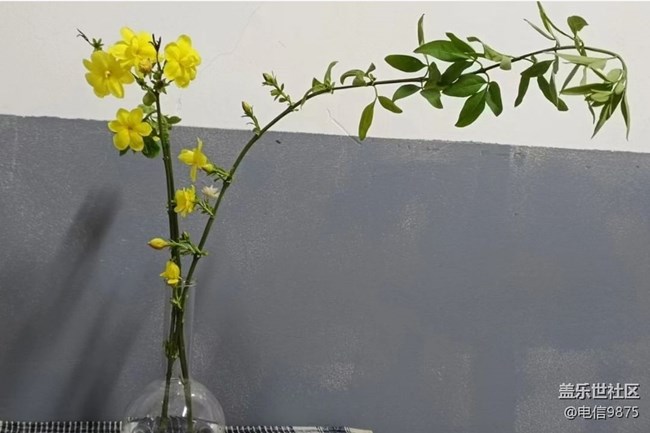 【Note手機里的初春】春