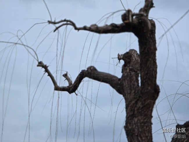 #二月春將半——發(fā)芽