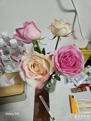 【早春映像】日常隨手拍