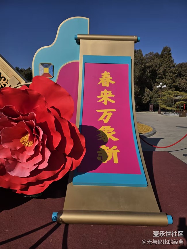 【幸福時(shí)光】迎春花兒依然綻放