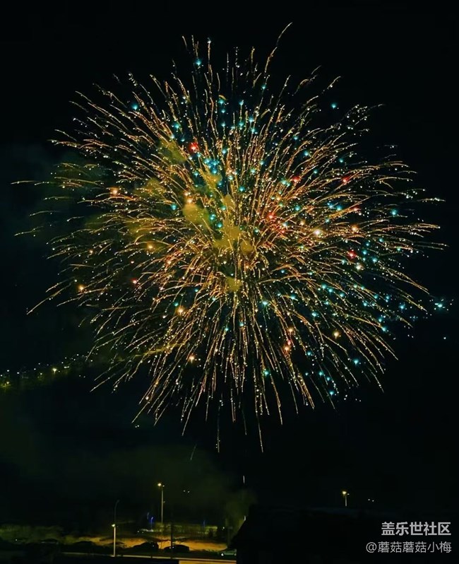 【記錄我的春節(jié)】巳巳如意中國(guó)年