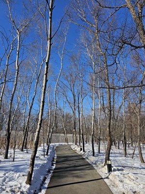 【早春映像】+密林