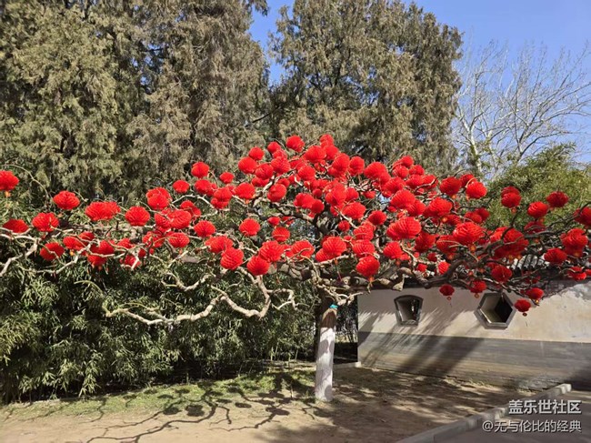 【幸福時光】大紅燈籠高高掛