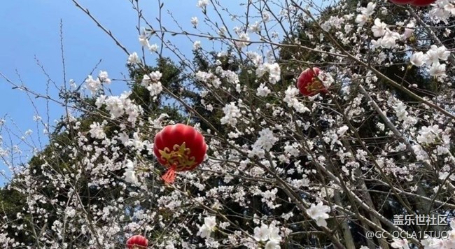 【Note手機(jī)里的初春】賞春正當(dāng)時(shí)
