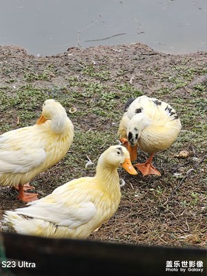 【早春映像】+春日記錄