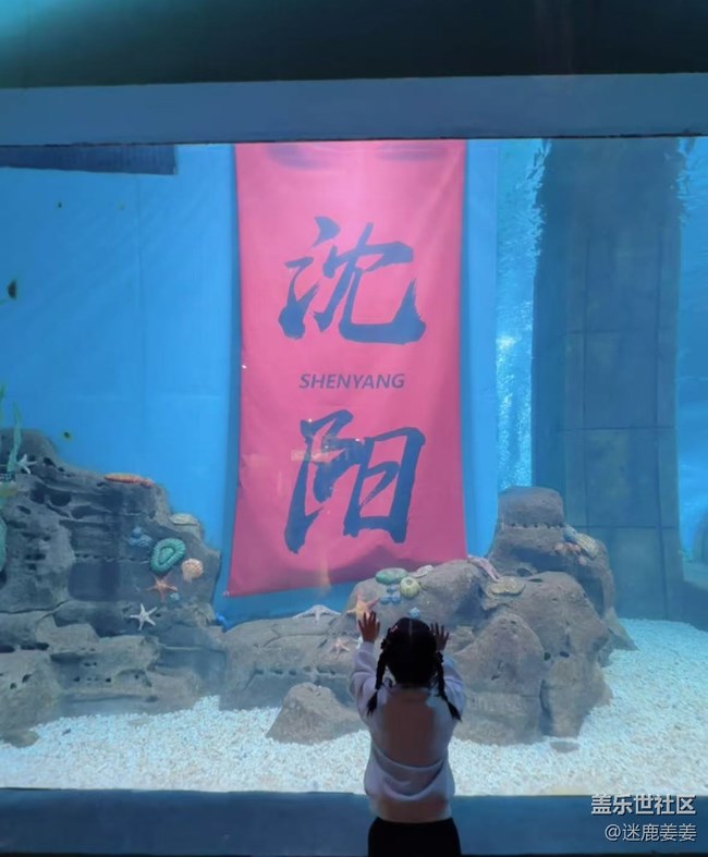 【記錄我的春節(jié)】海洋館之行