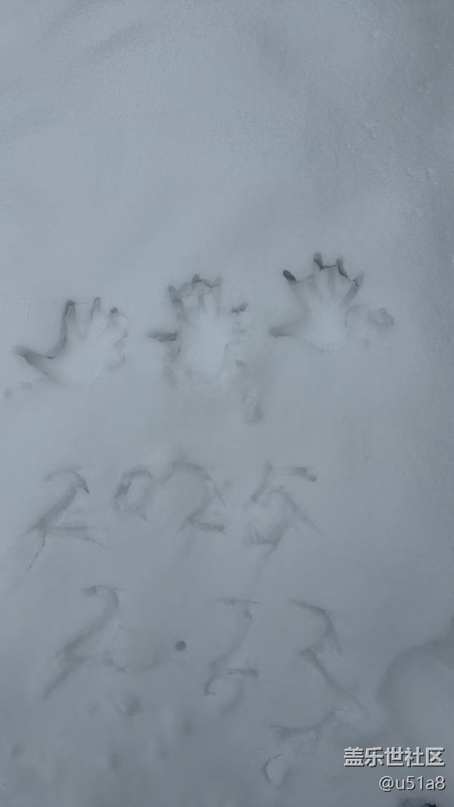 【Note手機里的初春】春雪