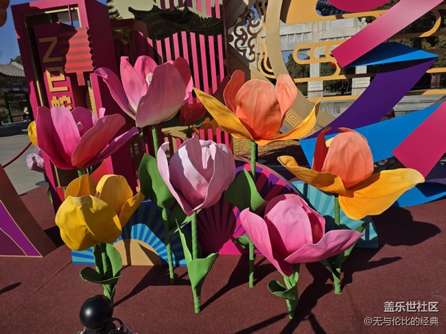 【幸福時(shí)光】迎春花兒依然綻放