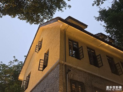 【早春映像】+春天到來