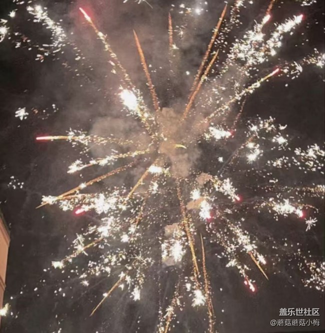 【記錄我的春節(jié)】巳巳如意中國(guó)年