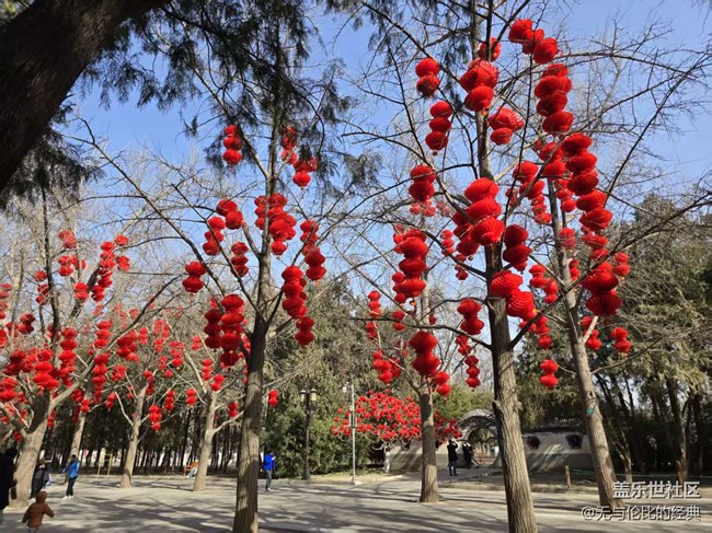 【幸福時光】大紅燈籠高高掛