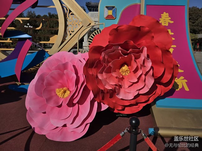 【幸福時(shí)光】迎春花兒依然綻放