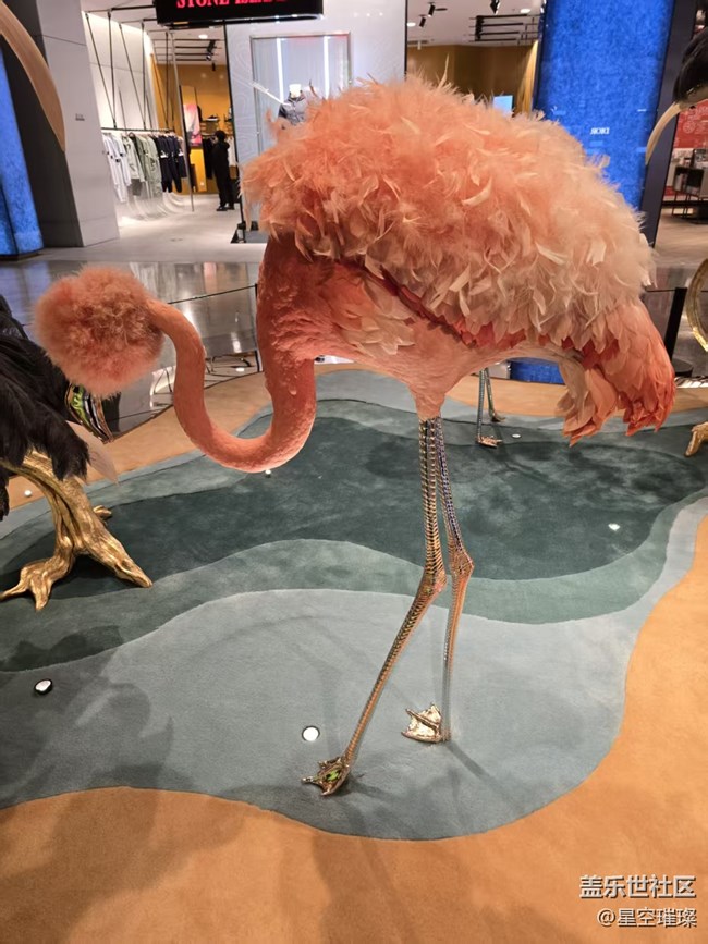 【幸福時(shí)光】栩栩如生的火烈鳥