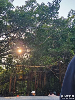 【早春映像】春日出行