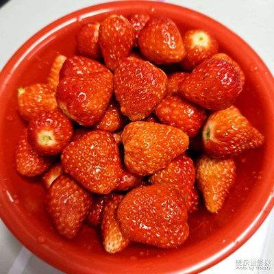 【早春映像】隨便拍