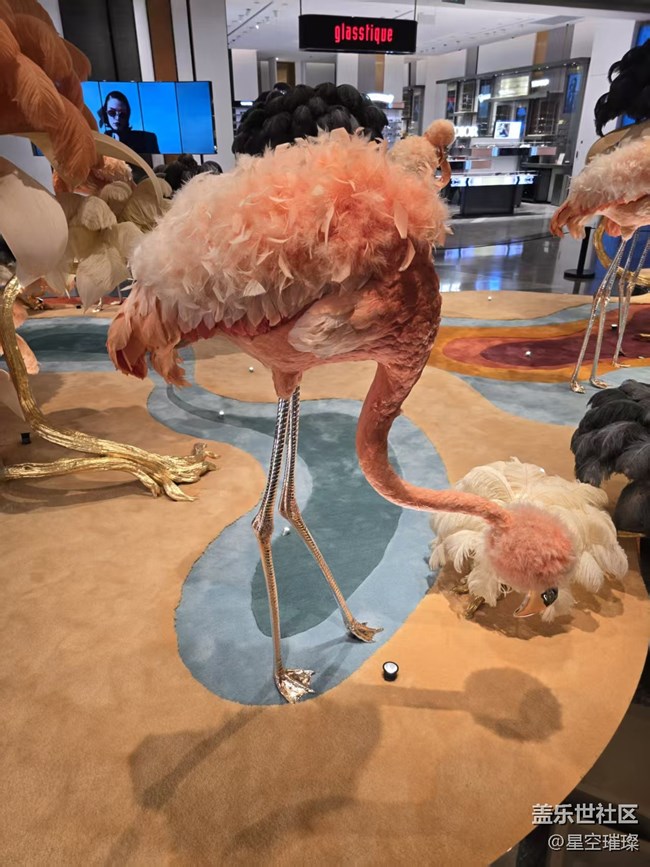 【幸福時(shí)光】栩栩如生的火烈鳥