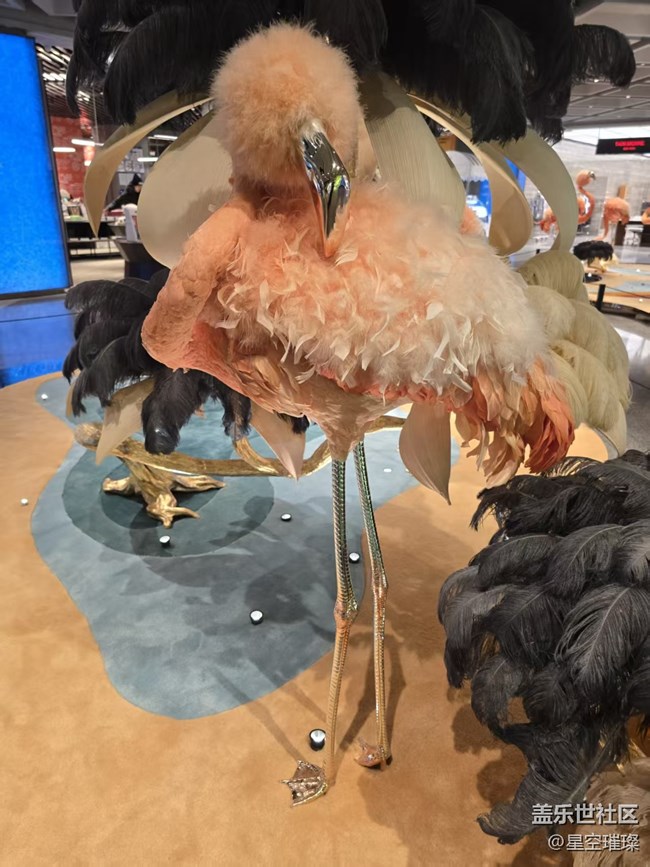 【幸福時(shí)光】栩栩如生的火烈鳥