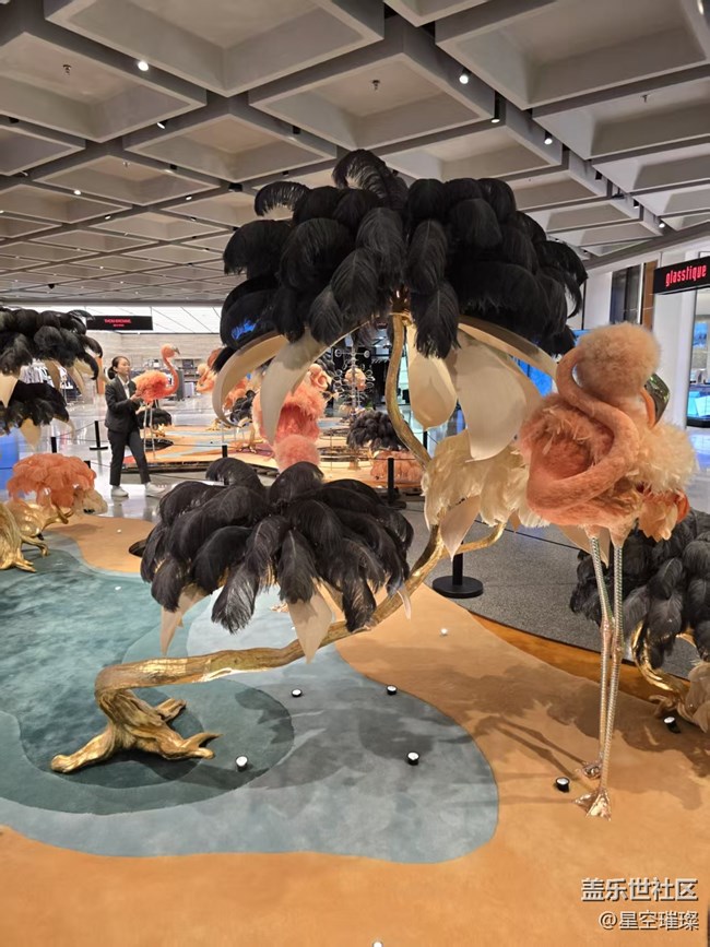 【幸福時(shí)光】栩栩如生的火烈鳥