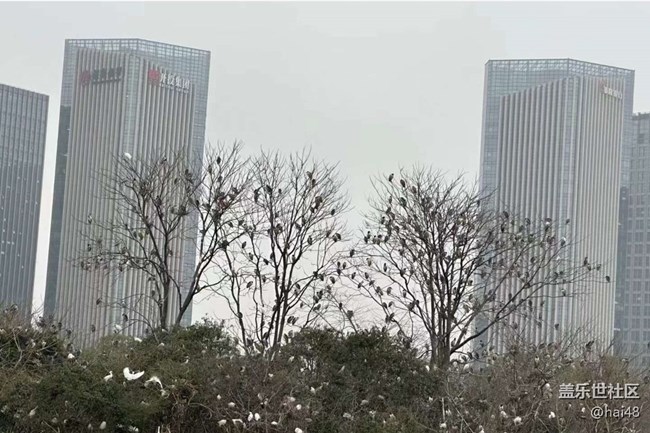 【Galaxy影像】#尋年味+春雨