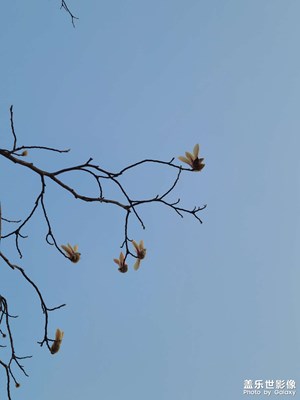 【早春映像】+早春景色