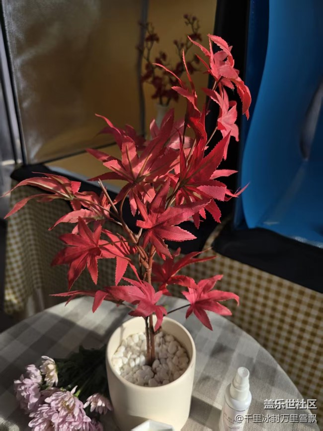 【幸福時光】美麗的花兒