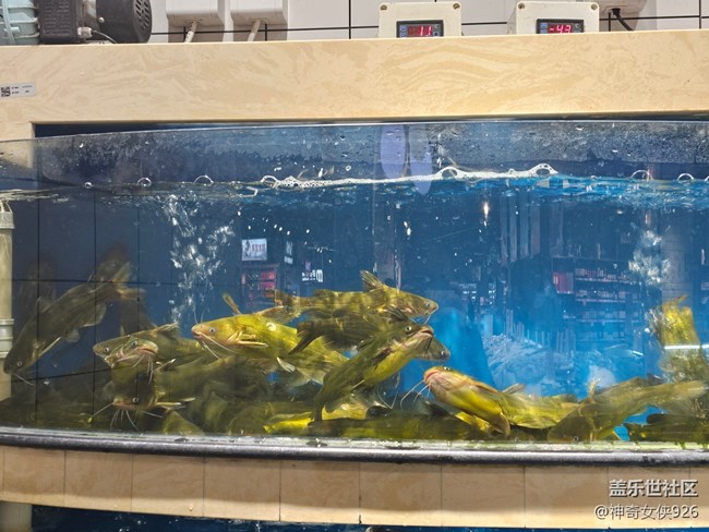 【幸福時(shí)光】買魚