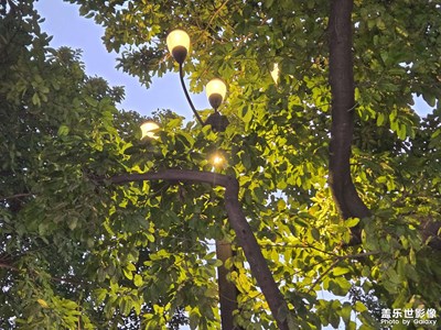 【早春映像】+走走停停