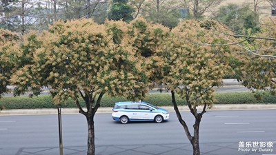 【早春映像】早春街景