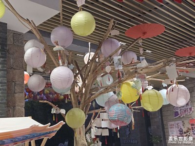 【早春映像】+早春的照片