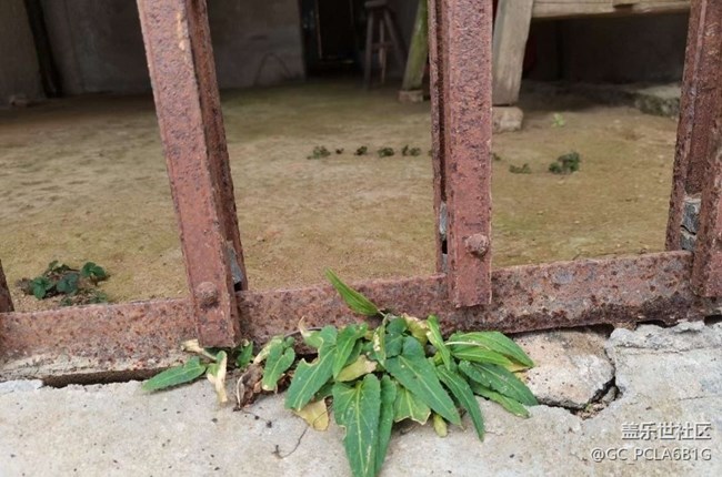 【尋城記】老家