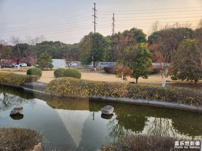 煦色韶光+早春二月