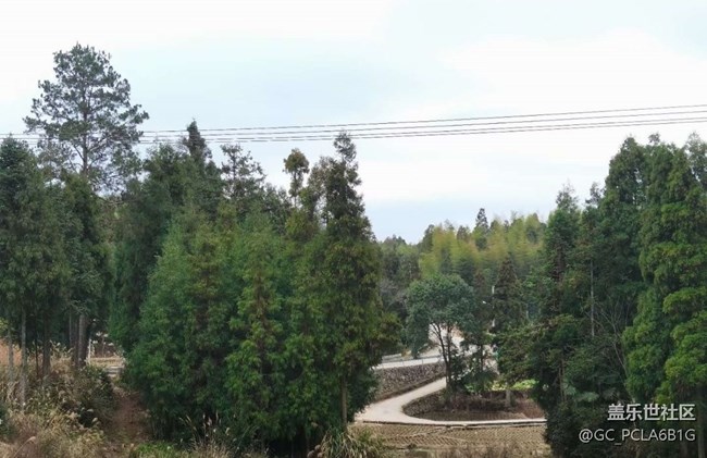 【尋城記】老家