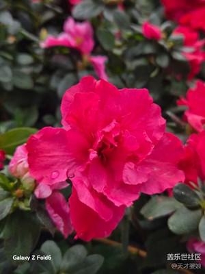 【煦色韶光】花漾春日