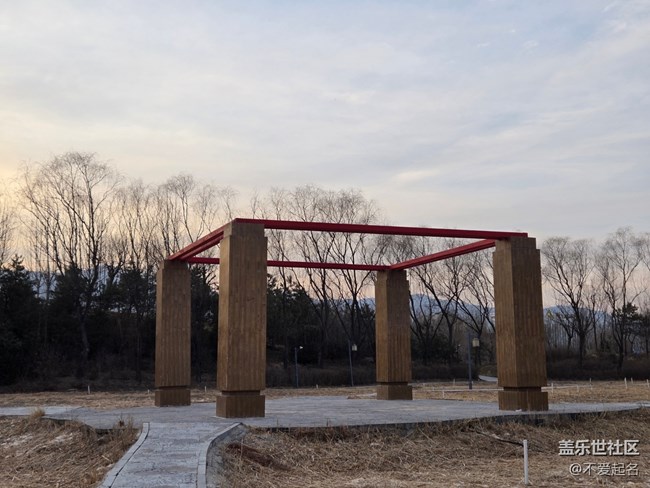 【我家附近的公園】寒園迎暖光