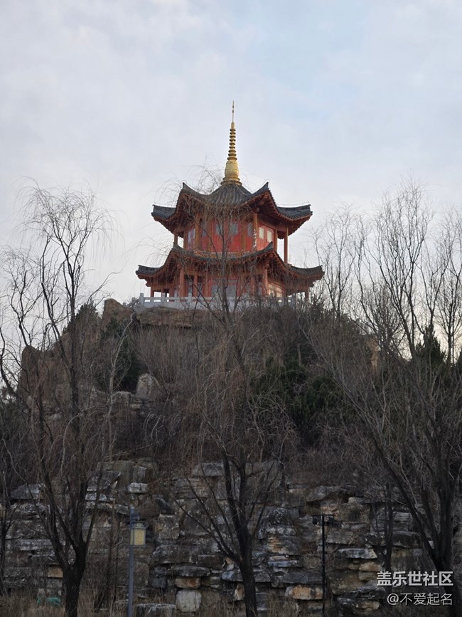 【我家附近的公園】寒園迎暖光