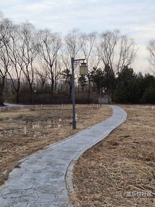 【我家附近的公園】寒園迎暖光