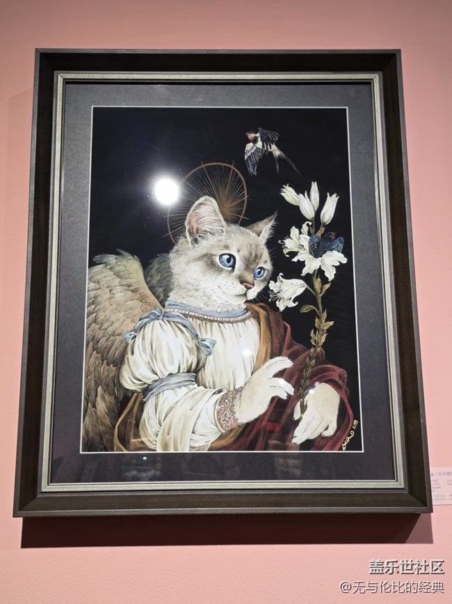 【幸福時(shí)光】生動(dòng)形象的喵星人