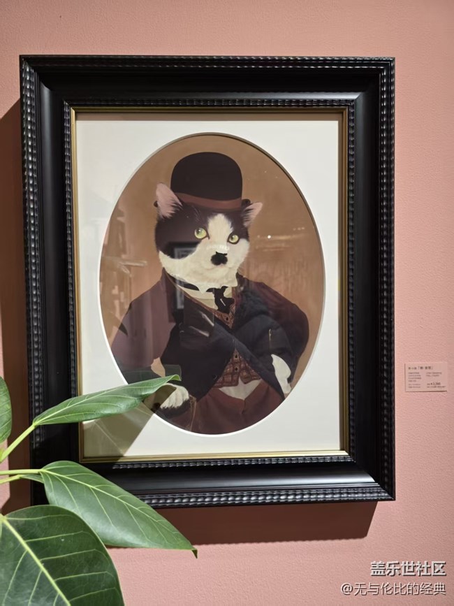 【幸福時(shí)光】生動(dòng)形象的喵星人