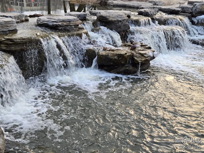 【我家附近的公園】寒園迎暖光