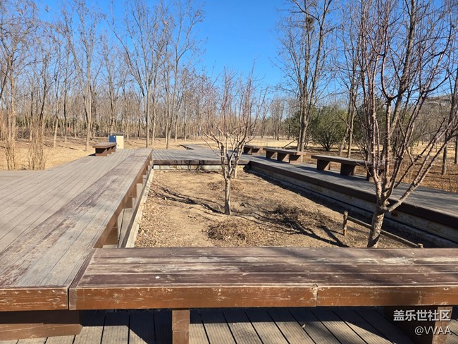 【我家附近的公園】濕地公園野營