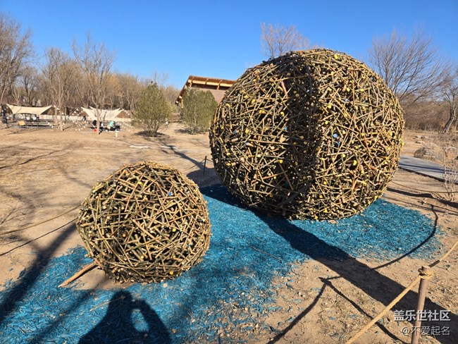 【我家附近的公園】周末濕地行，邂逅自然野趣