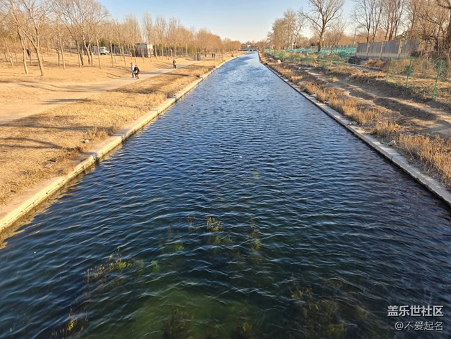 【我家附近的公園】周末游濕地，領(lǐng)略生態(tài)之美